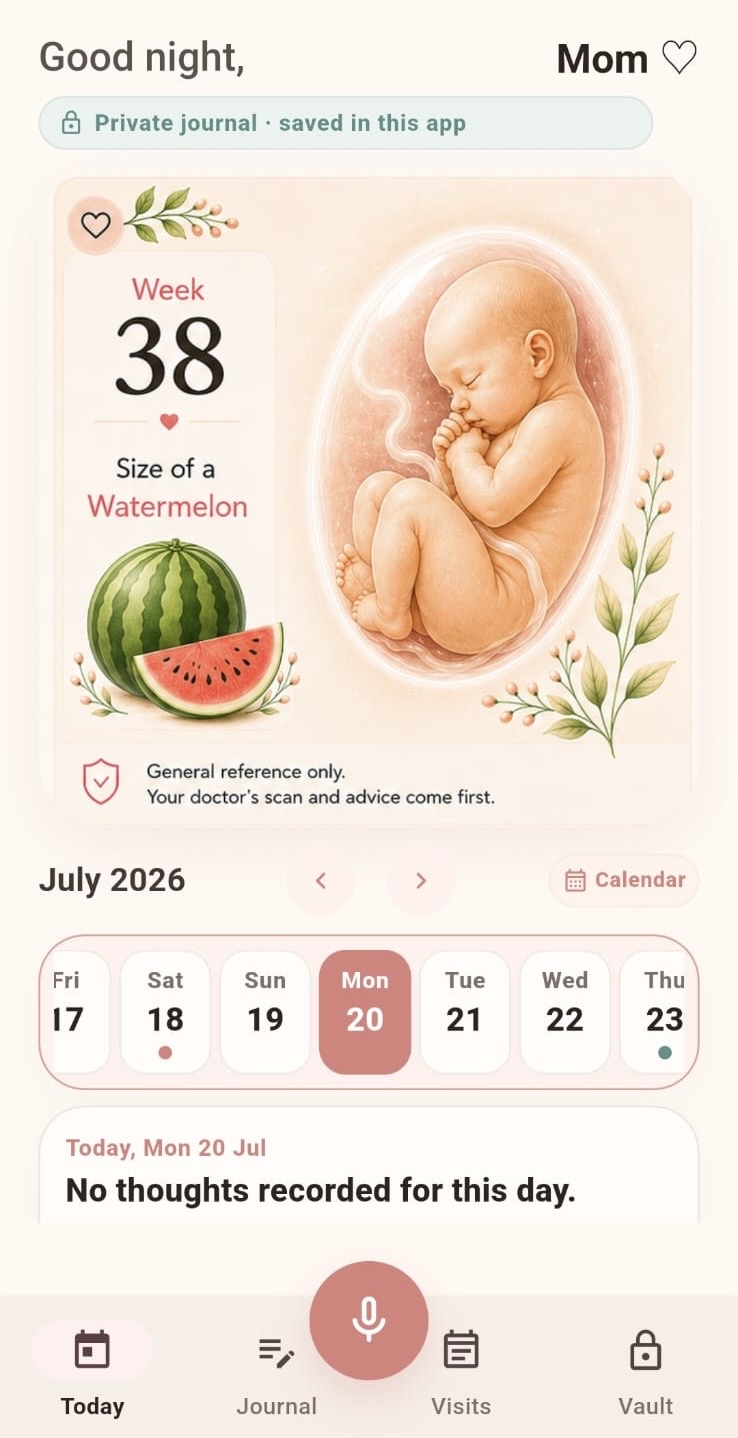 Eva Pregnancy Journal Today screen showing a pregnancy week, general-reference artwork, and journal date strip