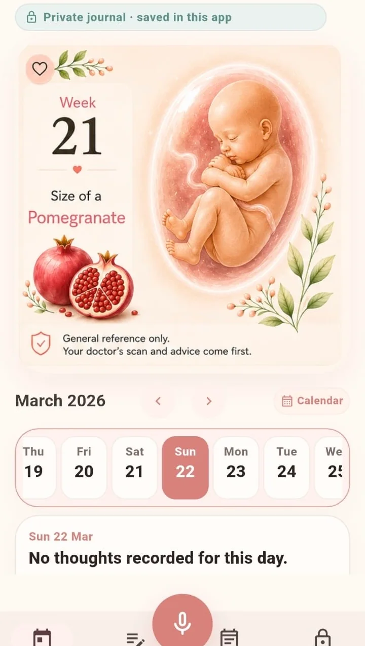 Eva Today screen showing a pregnancy week, general-reference artwork, and journal date strip