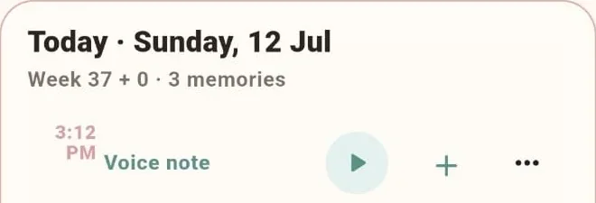Eva Journal screen header with a dated saved voice note