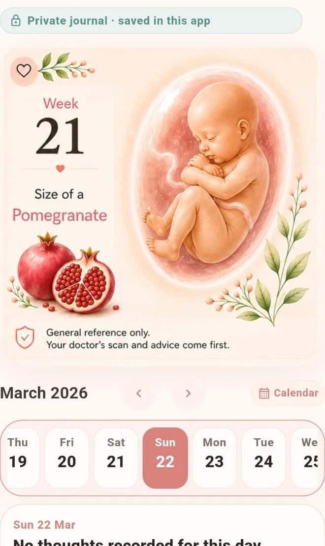 Eva Today screen with pregnancy week artwork and date strip